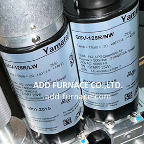 GSV-125R/NW, GSV-125R/LW, RV-GSV125R